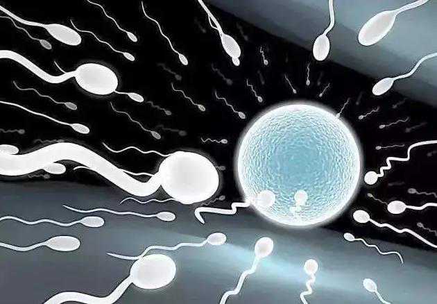 太原代孕费用包成功,双胞胎长的都不像，试管婴儿都是异卵吗-人体生物节律生