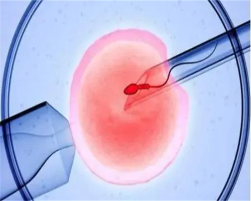 四川华西附二院做供精需要排队等多久？四川供精去哪做？~代怀助孕机构