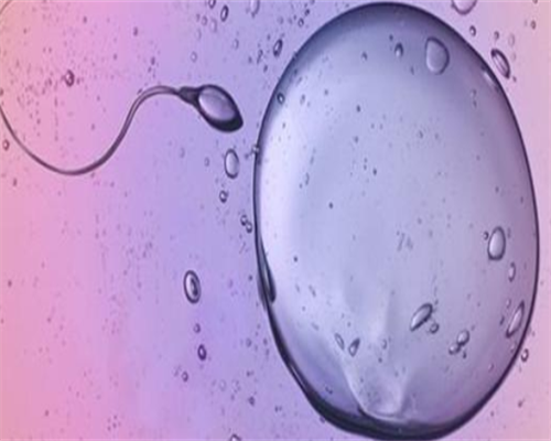 代孕成功率,佛山供卵代怀（试管婴儿费用大约多少2026年）