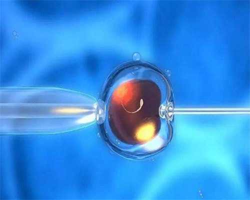 太原借卵子生小孩，太原试管代孕违法吗