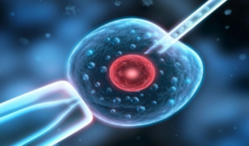 试管婴儿胚胎移植后五天，我浑身发抖，瑟瑟发抖。植入成功了吗？~医院供卵