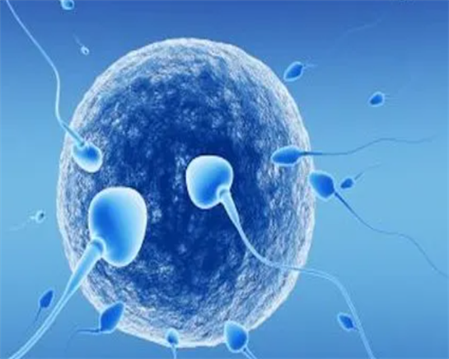 amh值多少为卵巢早衰？如何来判断amh？~代怀生儿子