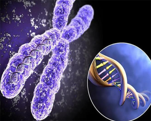 吃了妇科千金片多久可以怀孕