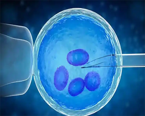 山西做试管婴儿的费用明细,山西省儿童医院晋源院区