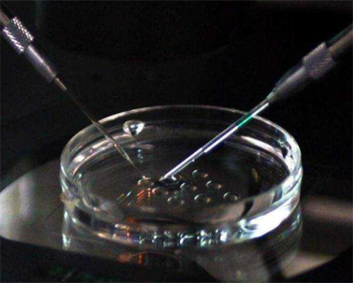 当阳干细胞治疗卵巢早衰医院排名~代怀孩子中介