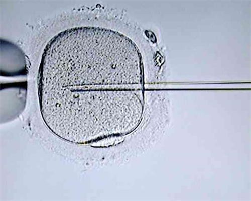 试管婴儿双胎一个孕囊怎么办，试管双胎一个胎停怎么处理~供卵代孕公司