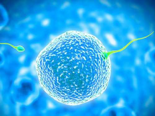 山西生殖医院选择攻略,为什么要选择山西做试管婴儿？?