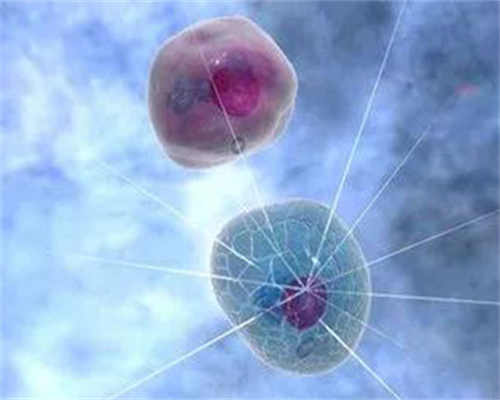 大同供卵代要多久，大同助孕机构大全