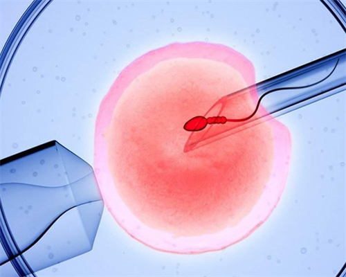 太原助孕高端机构，太原助孕机构大全