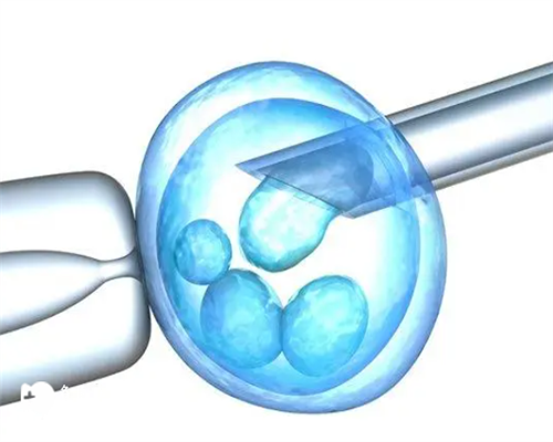 滋肾育胎丸的作用？中成药滋肾育胎丸对调理卵巢早衰有帮助吗？~试管机构捐卵