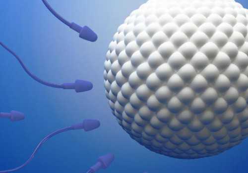 山西宝来国际助孕怎么样,山西试管婴儿关于费用怎么样？