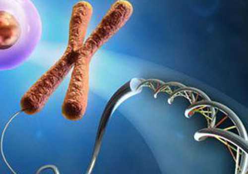 太原哪找供卵试管，太原助孕机构大全