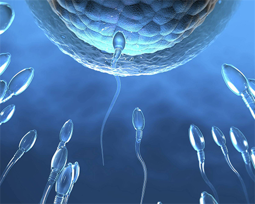 太原试管生儿子像谁，2026山西太原十大试管医生排名