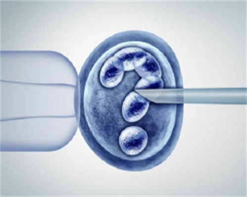 冻胚移植的方案该怎么选择？哪个更好？~代怀孩子公司