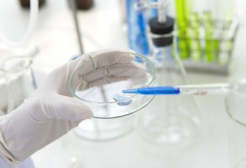 <strong>上海仁济医院三代试管婴儿_成都试管婴儿顾问招聘，成都招试管婴儿顾问海外~供卵产子费用</strong>