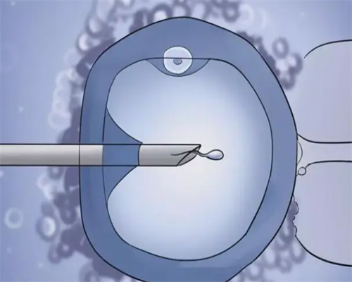 太原找代生机构，太原试管代孕的法律问题