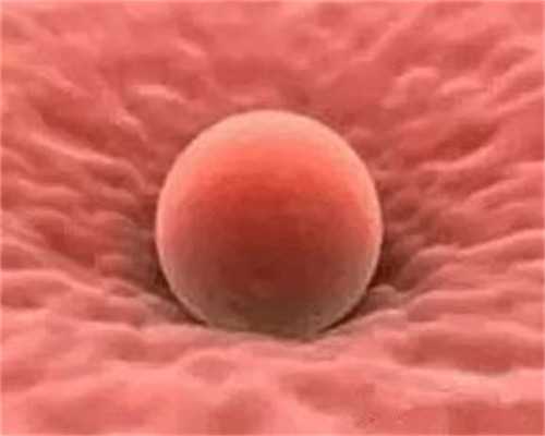 卵泡发育不良可以吃当归吗~知名代怀孕