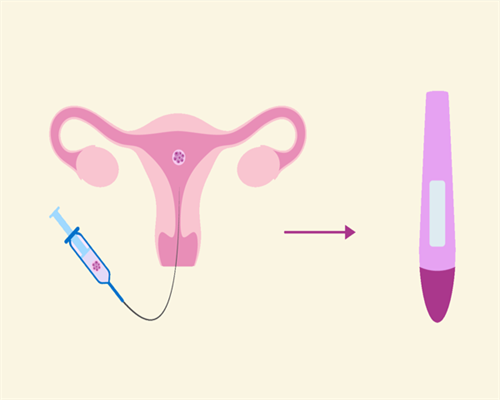 代怀网_代怀套餐价格,青海省三代试管代怀生子医院排名，附三代试管的男孩的