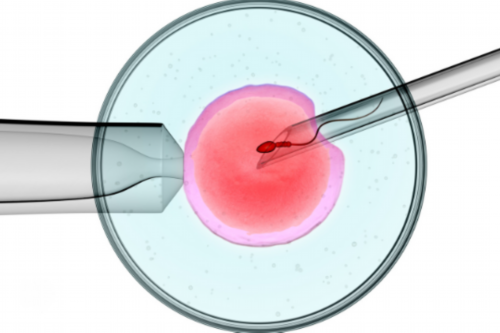 山西试管婴儿医院排名有哪些,山西省儿童医院基本信息