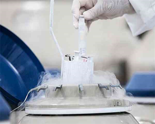 自然代怀孕案例_代怀机构合法吗,北京北医三院试管婴儿_南京代怀供卵公司_子