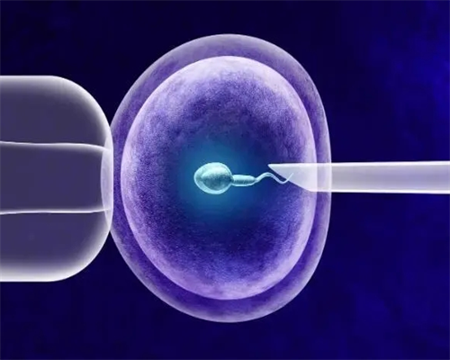 太原代怀公司机构,二胎想生女儿，问一问成都哪里做试管可以选择性别？_试管