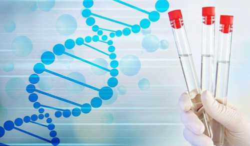 太原供卵生孩子多少钱，太原试管代孕是否违法