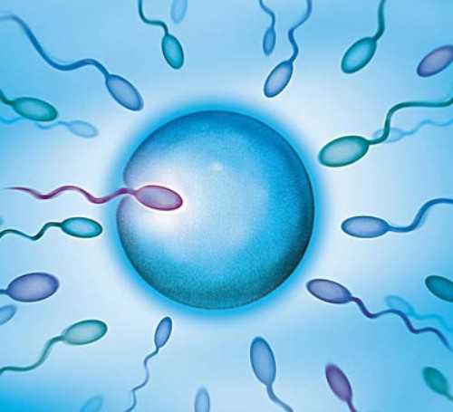 山西供卵需多少钱，山西供卵试管医院排名