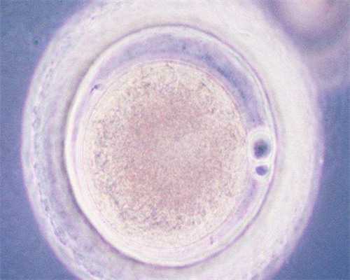 代怀好不好_代怀生宝宝,试管婴儿怎么生出来的-南京代怀供卵公司_天津南到天