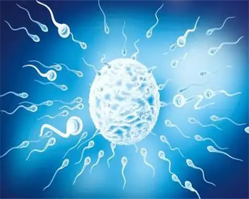 太原借腹产子靠谱吗，太原卵巢早衰试管医院大全