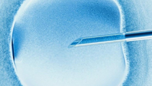 代怀代生_代怀保密咨询,试管婴儿初次检查时间是什么时候呢-南京代怀供卵公司