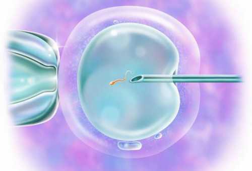 太原代孕能选性别吗， 太原能做供卵试管