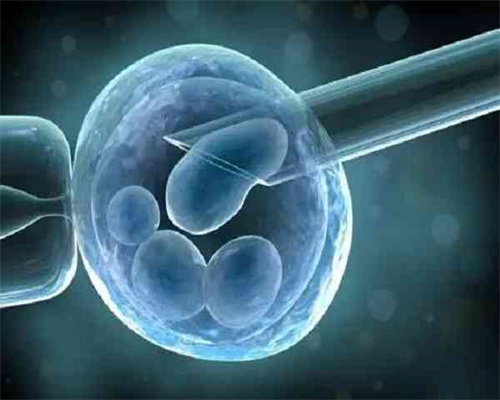 【山西市十大家政公司,山西三大助孕公司坤和怎么联系