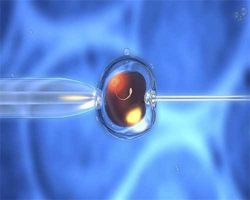 太原做试管龙凤胎几率大，太原染色体分析费用多少