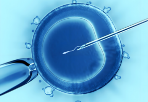 孕妇可以吃沙虫粥吗