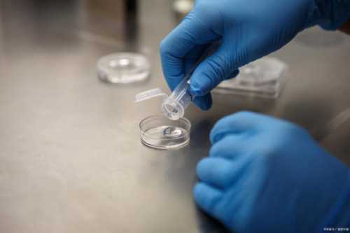 山西专业代孕价格表，山西省人民医院大同分院