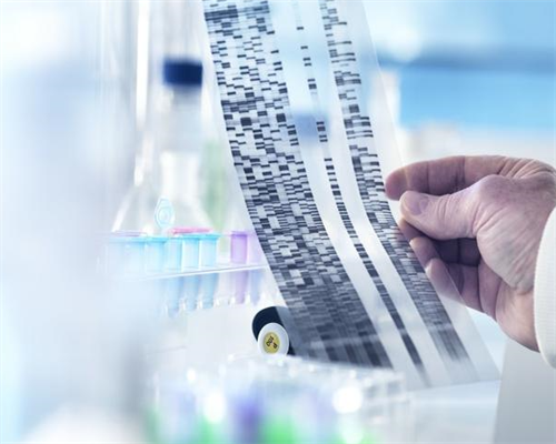 代怀网成功率_找代怀孕,试管婴儿为什么会早产_南京代怀供卵公司_生了一胎,一