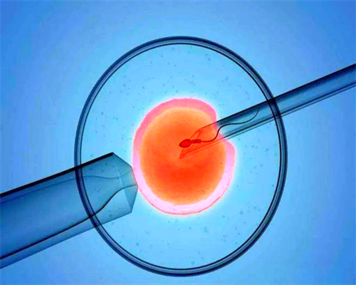 有没有代怀的_代怀联系电话,试管婴儿囊胚移植没着床的原因是什么？-南京代怀