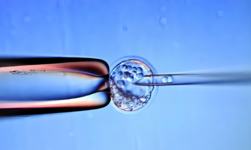 山西治疗卵巢早衰最好的医院,山西供卵试管婴儿医院