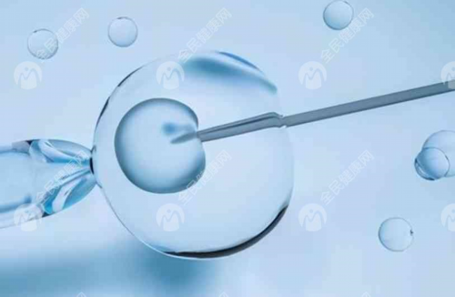 代怀宝宝公司_泰国代怀宝宝价格,预约方便成功率高，海外试管婴儿受青睐的具