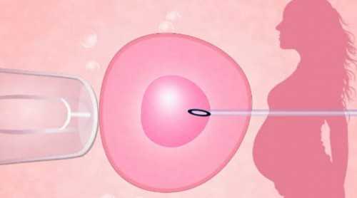 代怀价格找女生_代怀孩子联系方式,第三代试管婴儿促排方案-上海试管供卵代怀