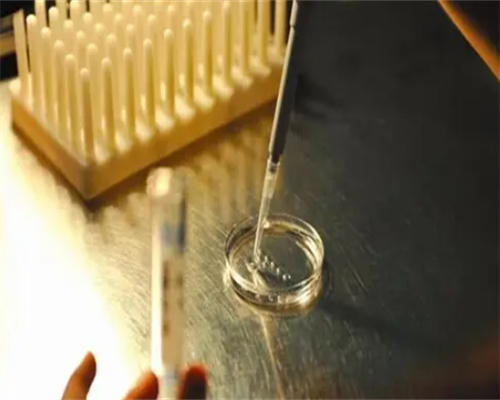 卵泡15x11什么时候排卵-卵泡15x11多久排~试管私人机构