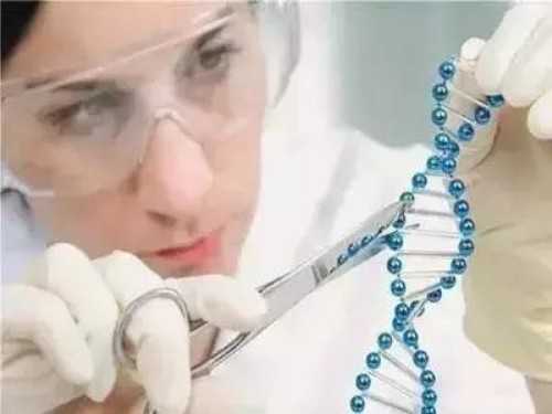 补救icsi方案：试管用早补救icsi方案是精子问题还是卵子~三代供卵代怀