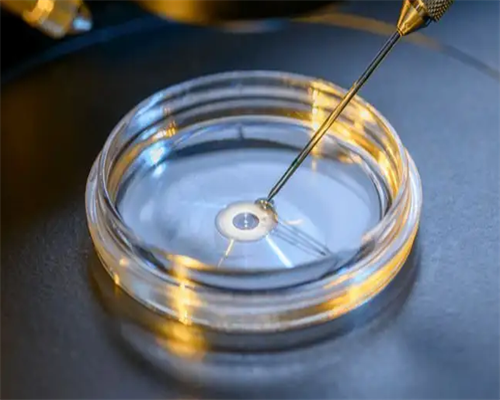 山西试管婴儿机构排名?,山西哪家机构做三代试管比较好？