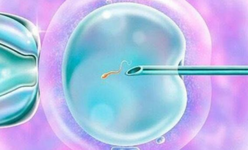 婴儿血管瘤该挂哪个科室进行治疗？~医院供卵代生