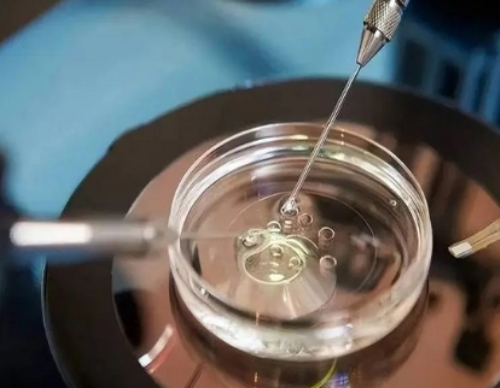 代孕中介费用多少,杭州三代试管代怀中心排名哪家强？附详细信息？