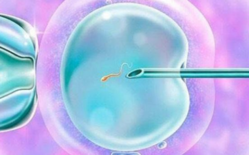 什么是试管卵泡与雌激素比例~试管代生公司