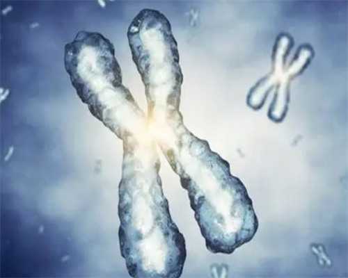 最新代怀价格表_代怀什么价格,重庆第三代试管婴儿是如何实现性别选择的？