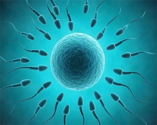 促排卵会不会导致头晕眼花_打促排会头晕恶心吗~代怀宝宝医院