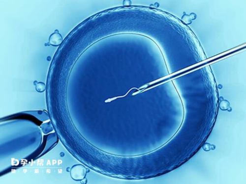 代怀男孩多少钱_代怀公司价格表,37岁多囊做试管婴儿成功几率多高？国内哪里
