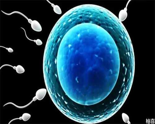 太原专业借卵生子，太原试管代孕的法律问题